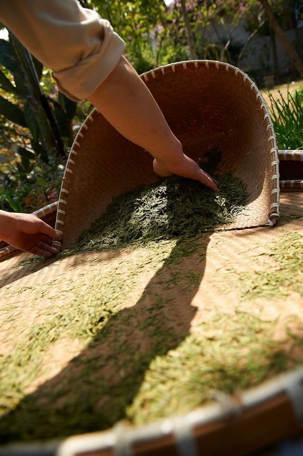 Cultivating a Culture of Care with Ceremony South Africa