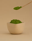 Ceremony Matcha Bundle