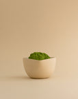 Ceremony Premium Matcha